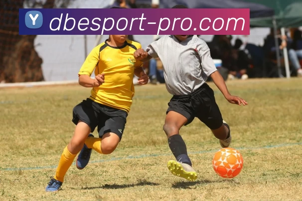 DB电竞专业平台APP 体育赛事宣传图